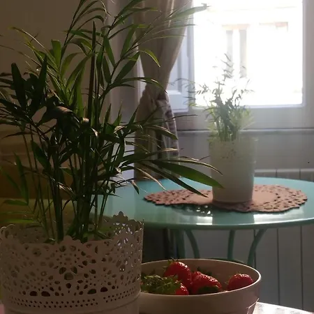Frühstückspension Il Di Amelia