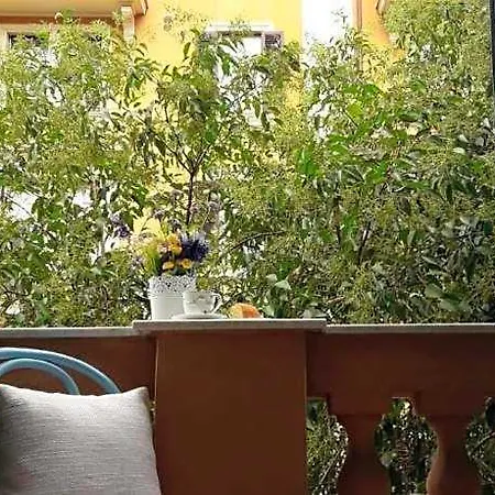 Il Di Amelia 4*