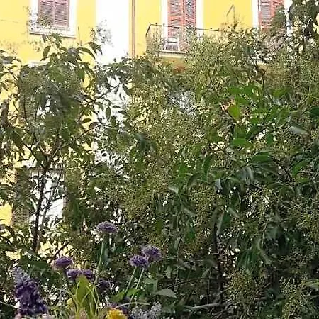 Il Di Amelia